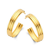 Oorringen Naiomy Silver N4W61