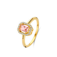 Ring Naiomy silver N4W62