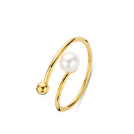Ring Naiomy silver N4W68