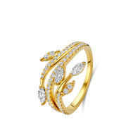 Ring Naiomy silver N4W65