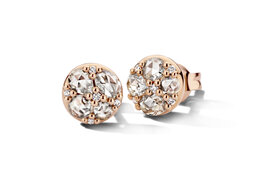 Oorbellen Roos 034E80R18