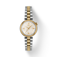 Tissot Desir T1520102211801