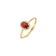 Blush ring 1271YGA . Maat 54