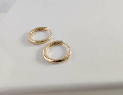 Gouden Creolen klein 18 kt w325495