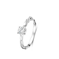 Ring Naiomy silver N5n70