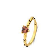 Ring Naiomy silver N5N67