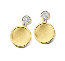 Oorbellen Silver Rose EA2354GB