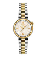 Tissot Desir T1520102211801