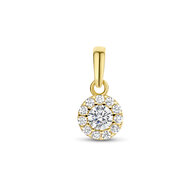 Hanger entourage zirconia 14 kt 4025933