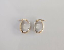 Gouden creolen bicolor ovaal x148721