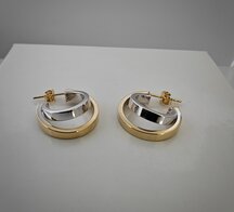 Gouden oorstekers bicolor x148725