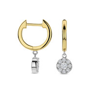 Oorringen Naiomy Silver N6S57