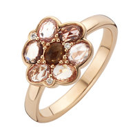 Ring Roos 18kt rood goud 18kt/br./sf. 105RPSR18