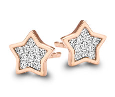 Oorringen Silver Rose EA6348R