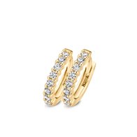 Blush oorbellen 7134YZI