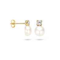 Blush oorringen 7147YPW